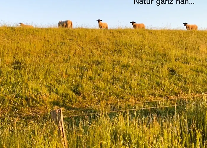 Appartement Meeresbrise Wendtorf